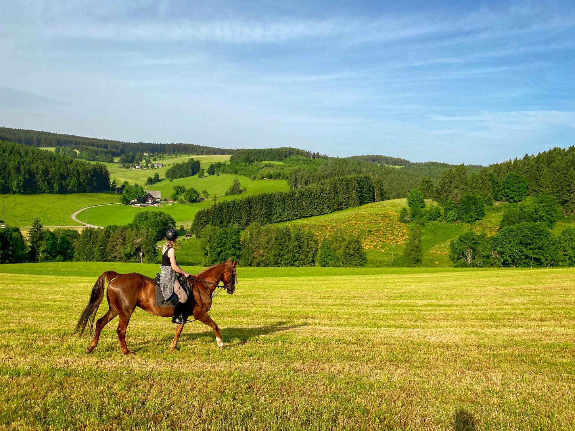 Ferienhof Gerda St. Georgen im Schwarzwald Exterior foto